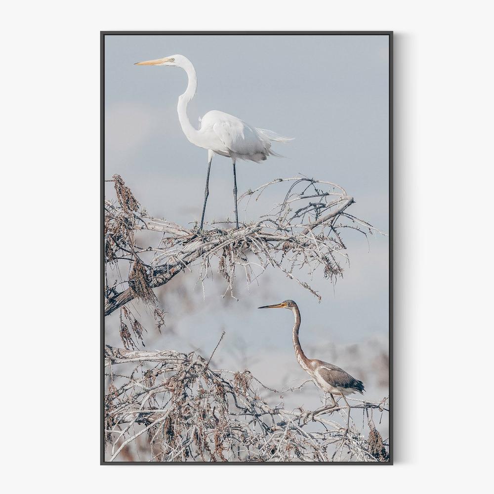 Everglades Pair-by-Nathan Larson-wall-art-print-canvas-poster-framed-Gioia