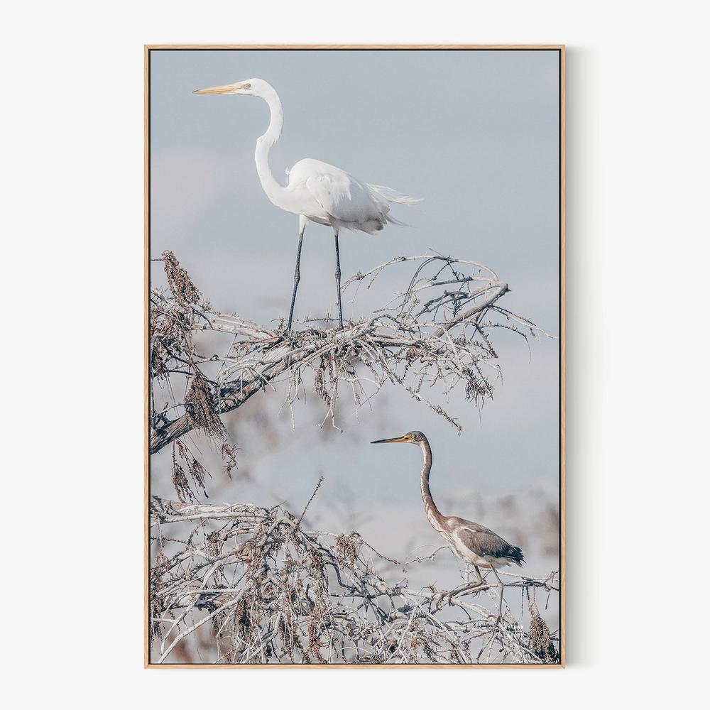 Everglades Pair-by-Nathan Larson-wall-art-print-canvas-poster-framed-Gioia