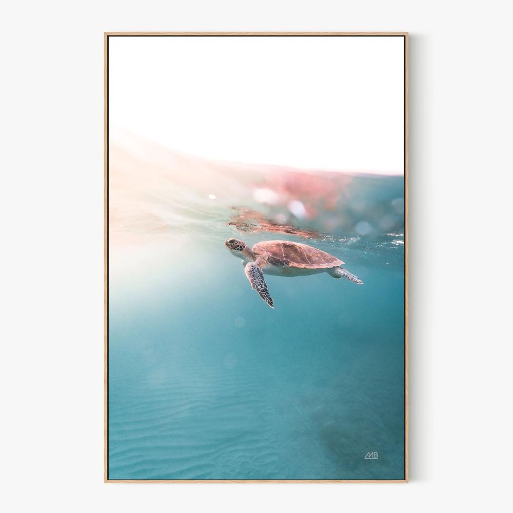 Float On-by-Max Blakesberg Studios-wall-art-print-canvas-poster-framed-Gioia