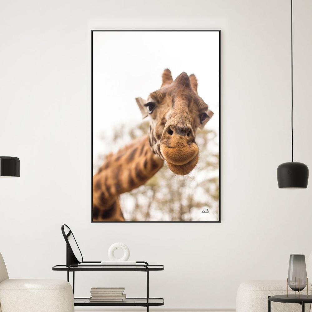 Funny Face, Style A-by-Max Blakesberg Studios-wall-art-print-canvas-poster-framed-Gioia