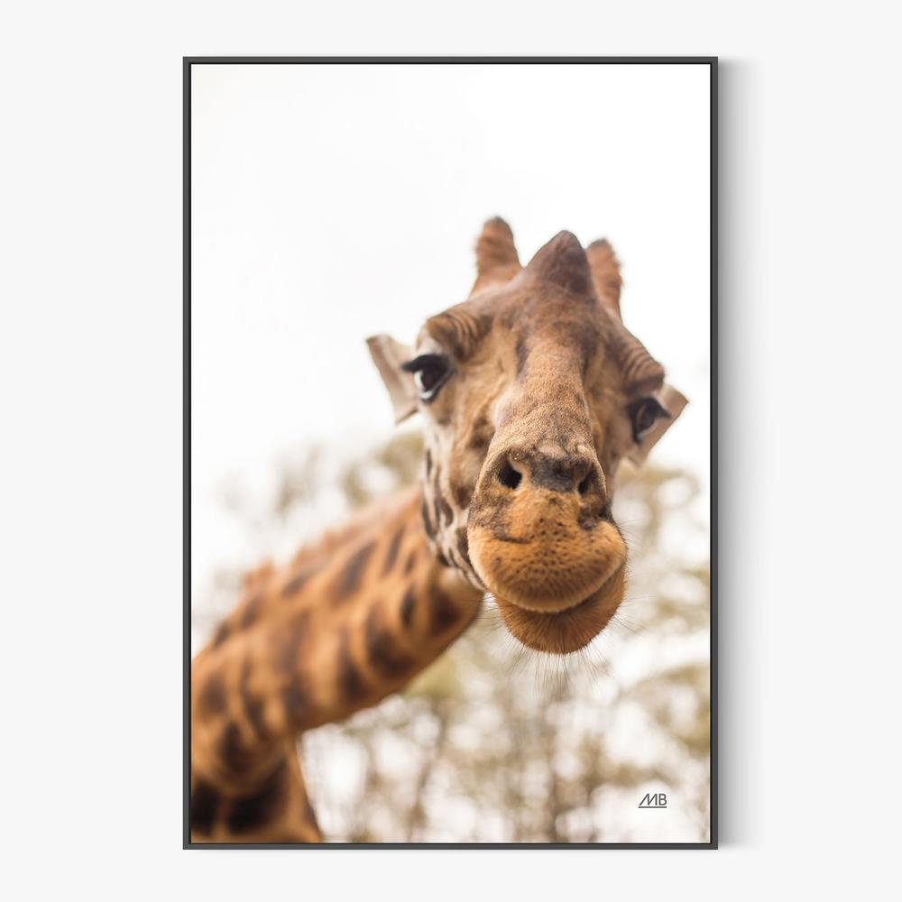 Funny Face, Style A-by-Max Blakesberg Studios-wall-art-print-canvas-poster-framed-Gioia