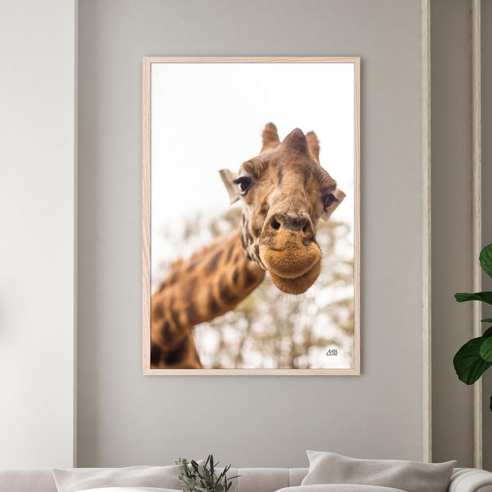 Funny Face, Style A-by-Max Blakesberg Studios-wall-art-print-canvas-poster-framed-Gioia