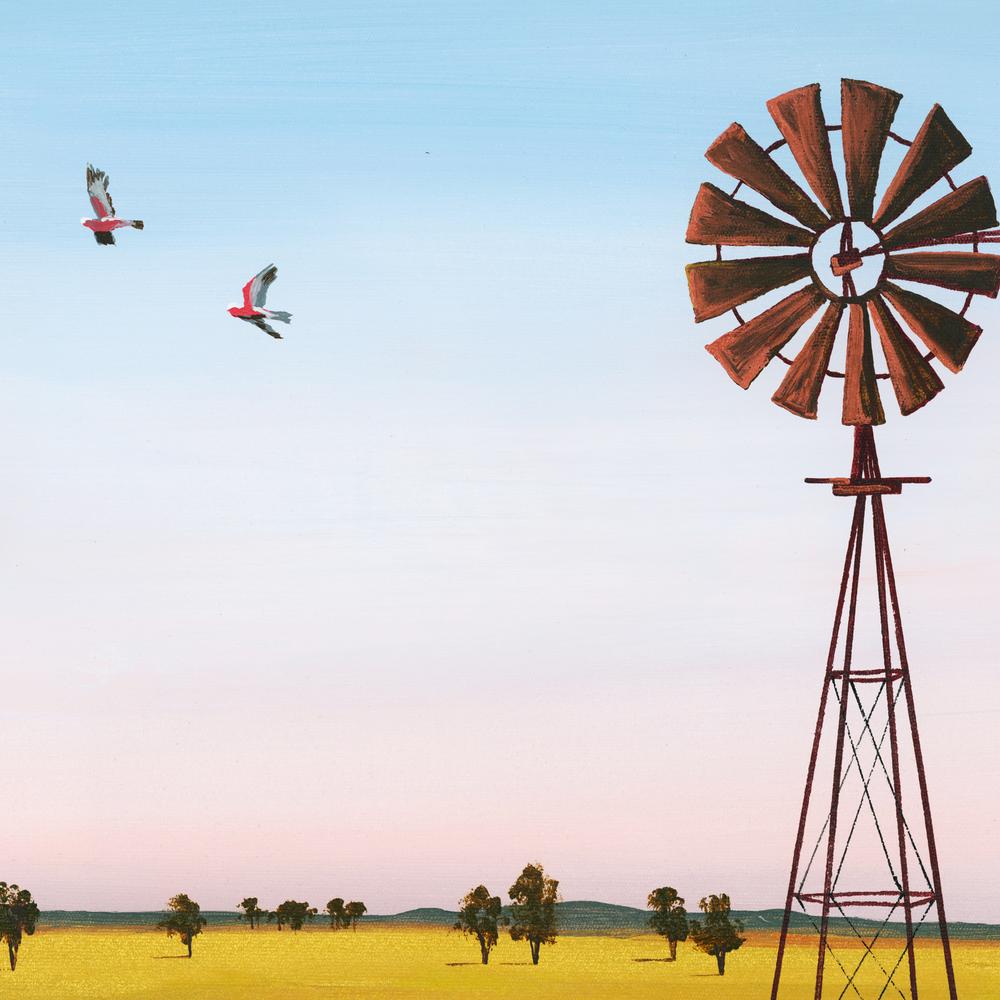 Galahs on Dusk-by-Meg Frances-wall-art-print-canvas-poster-framed-Gioia