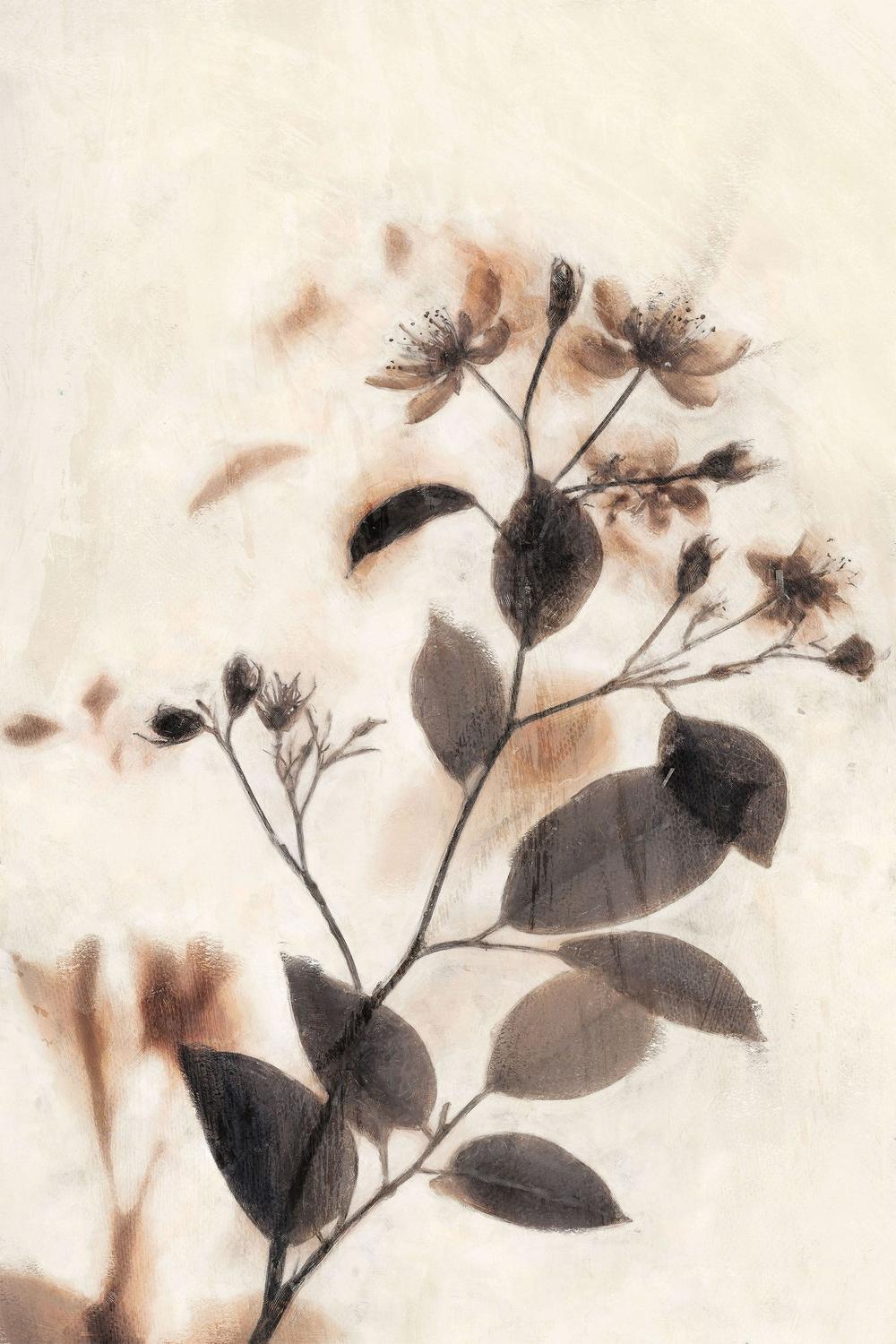 Ghost Floral, Style A-by-Nina Blue-wall-art-print-canvas-poster-framed-Gioia
