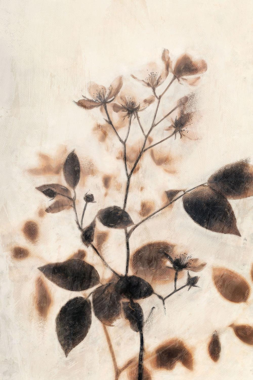 Ghost Floral, Style B-by-Nina Blue-wall-art-print-canvas-poster-framed-Gioia