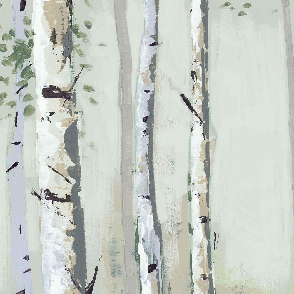 Green Birch Wood-by-Jacob Q-wall-art-print-canvas-poster-framed-Gioia