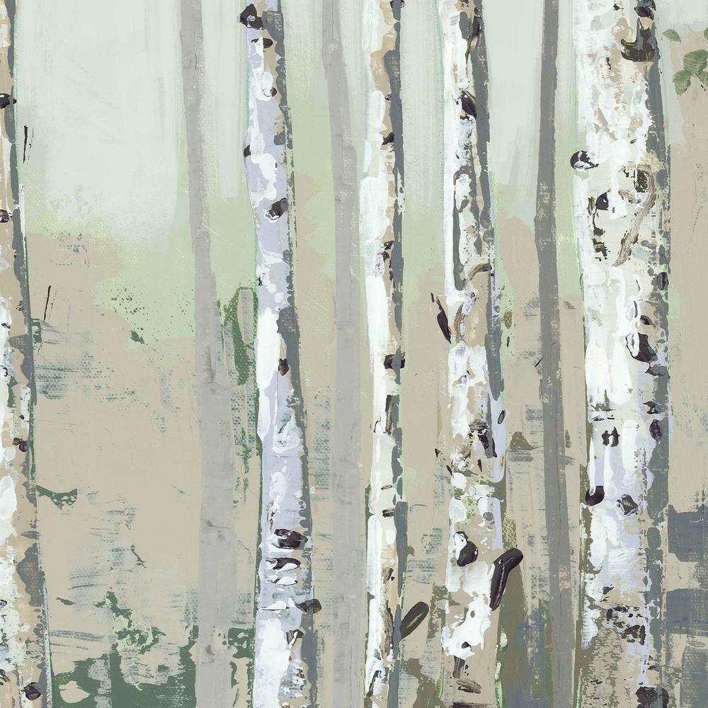 Green Birch Wood-by-Jacob Q-wall-art-print-canvas-poster-framed-Gioia