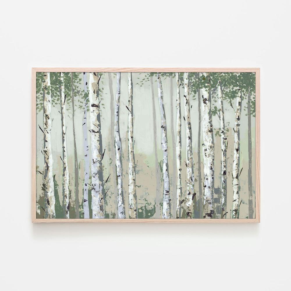 Green Birch Wood-by-Jacob Q-wall-art-print-canvas-poster-framed-Gioia