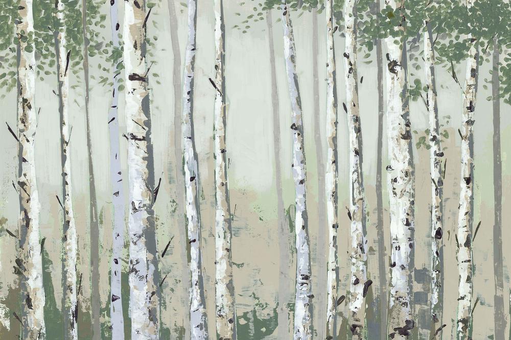 Green Birch Wood-by-Jacob Q-wall-art-print-canvas-poster-framed-Gioia