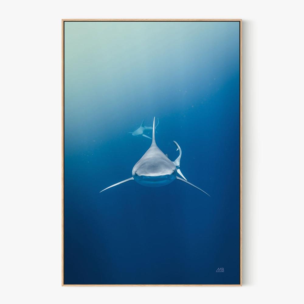 Heads Up-by-Max Blakesberg Studios-wall-art-print-canvas-poster-framed-Gioia