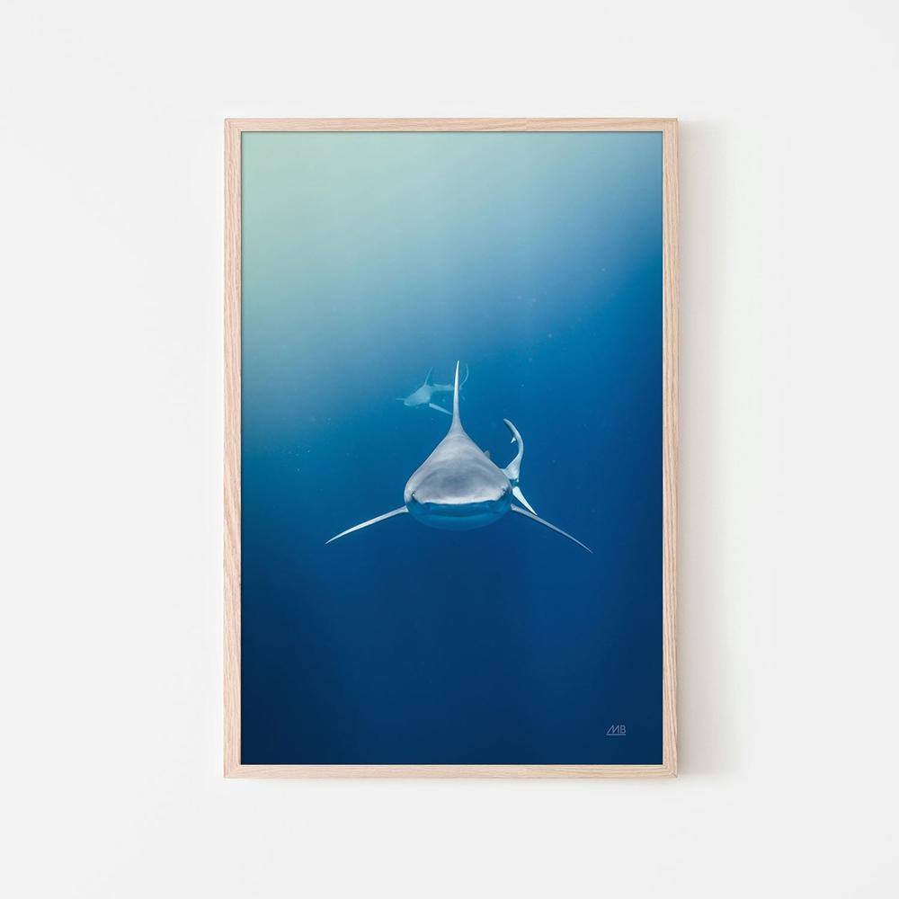 Heads Up-by-Max Blakesberg Studios-wall-art-print-canvas-poster-framed-Gioia