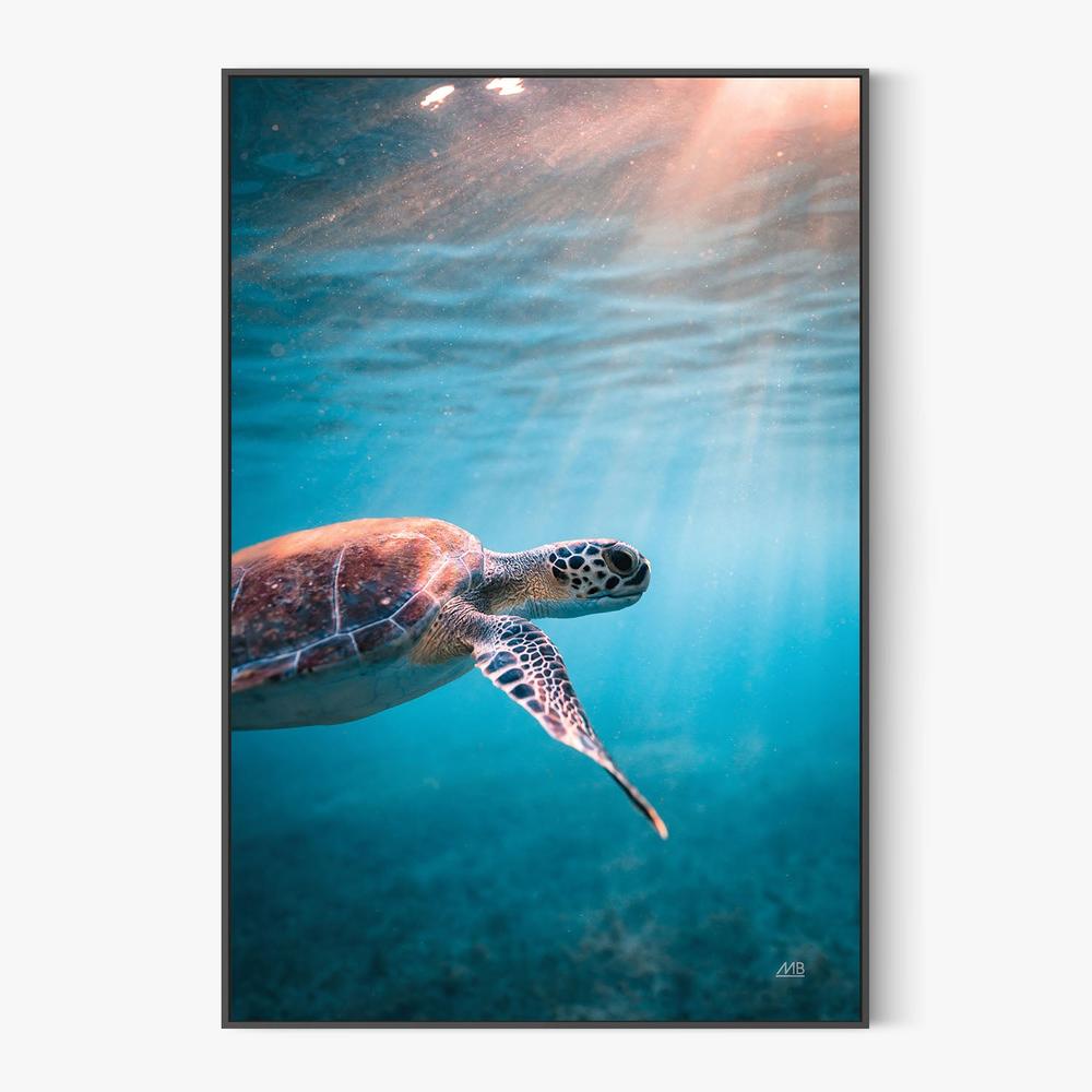 Just Keep Swimming-by-Max Blakesberg Studios-wall-art-print-canvas-poster-framed-Gioia