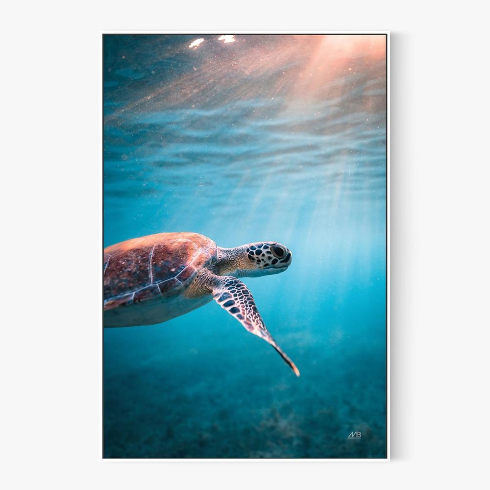 Just Keep Swimming-by-Max Blakesberg Studios-wall-art-print-canvas-poster-framed-Gioia