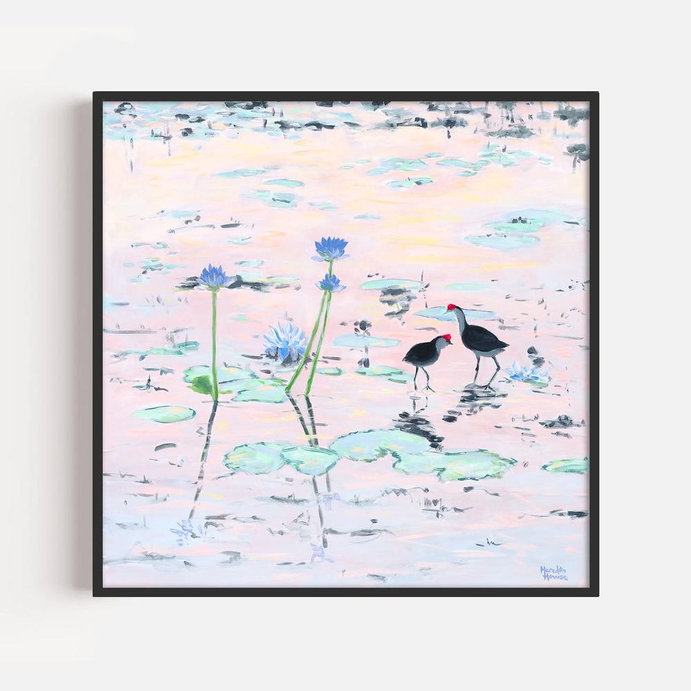 Kakadu Jacana-by-Meredith Howse-wall-art-print-canvas-poster-framed-Gioia