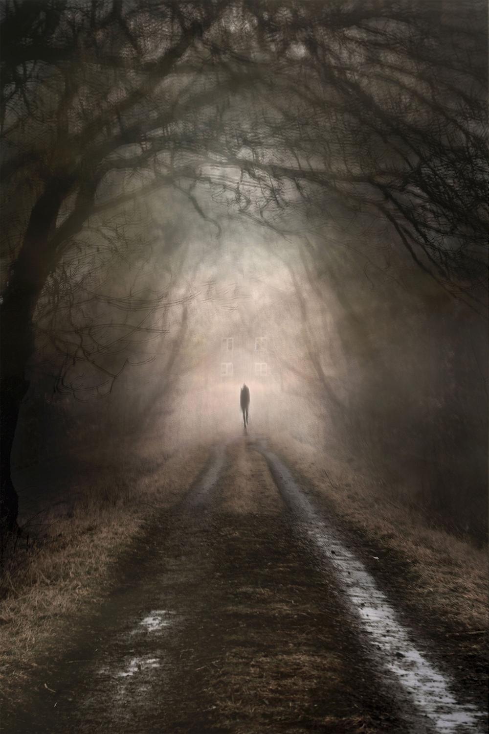 Lone Figure Misty Path-by-Christina Sillen-wall-art-print-canvas-poster-framed-Gioia