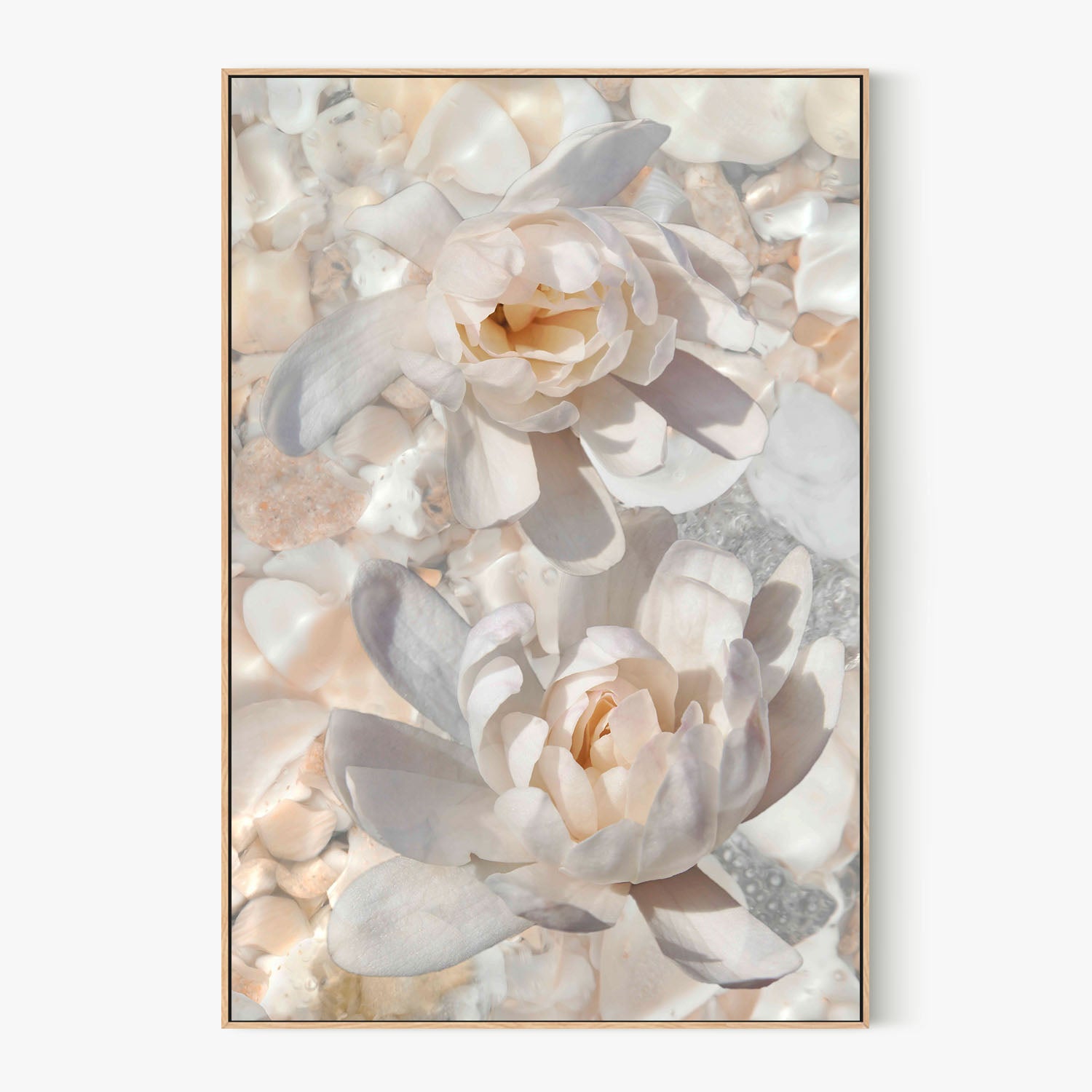 Magnolias in Light-by-Leda Robertson-wall-art-print-canvas-poster-framed-Gioia
