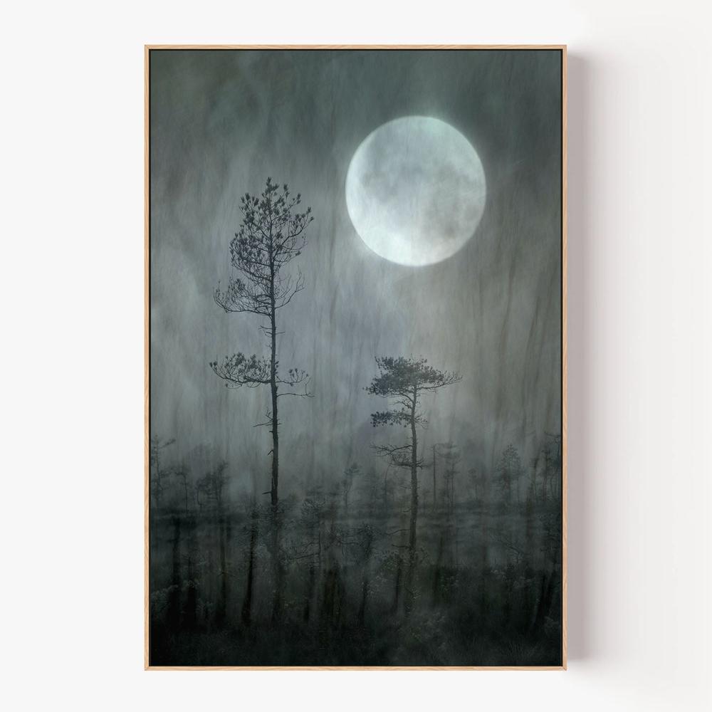 Misty Moon Forest-by-Christina Sillen-wall-art-print-canvas-poster-framed-Gioia