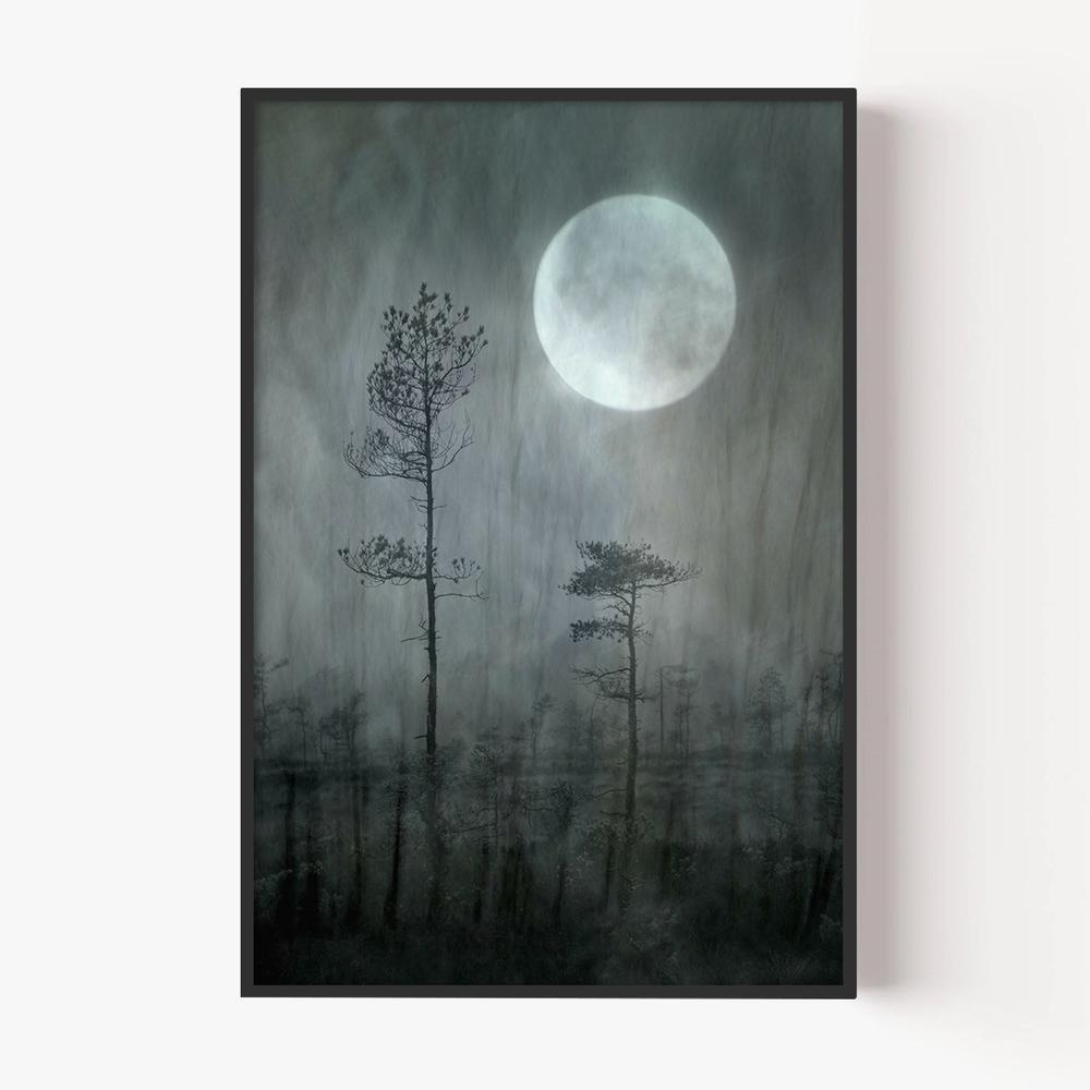 Misty Moon Forest-by-Christina Sillen-wall-art-print-canvas-poster-framed-Gioia