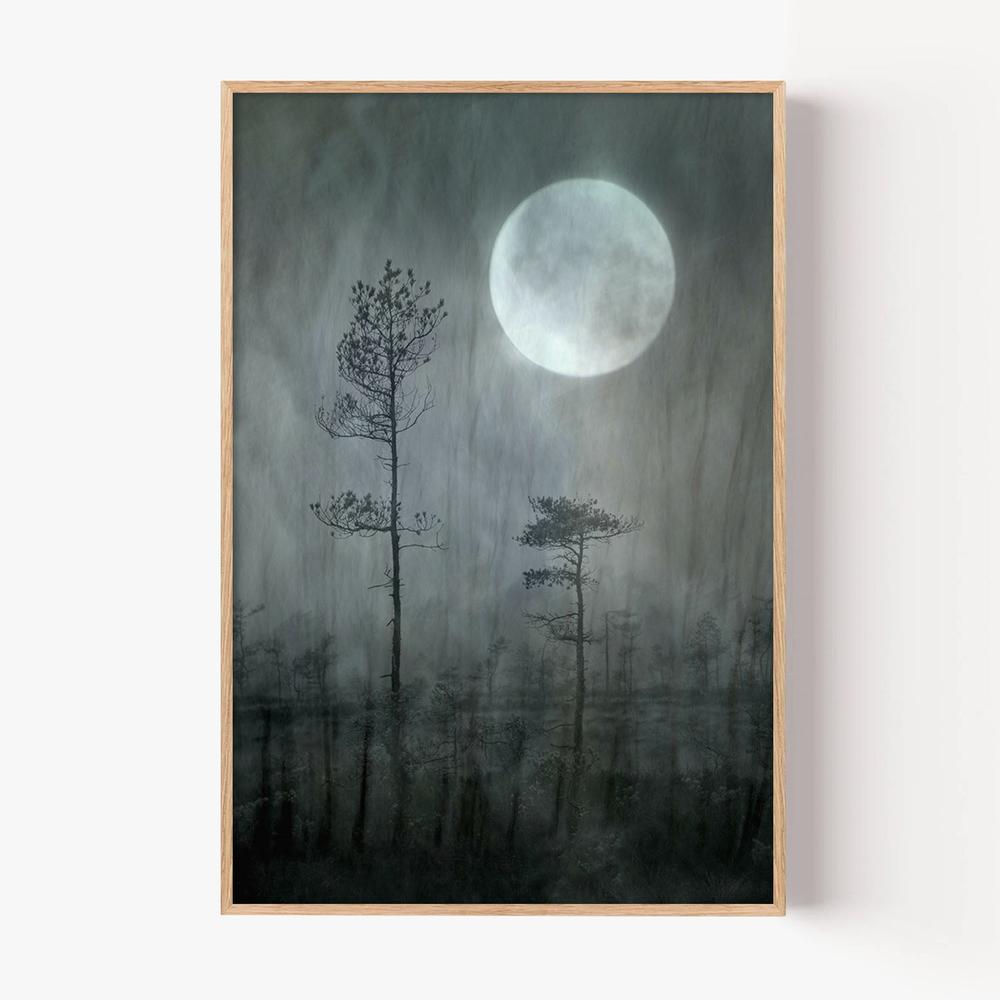 Misty Moon Forest-by-Christina Sillen-wall-art-print-canvas-poster-framed-Gioia