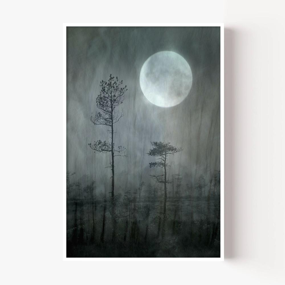 Misty Moon Forest-by-Christina Sillen-wall-art-print-canvas-poster-framed-Gioia