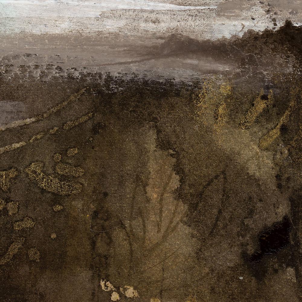Natural Dreamscape-by-Danhui Nai-wall-art-print-canvas-poster-framed-Gioia