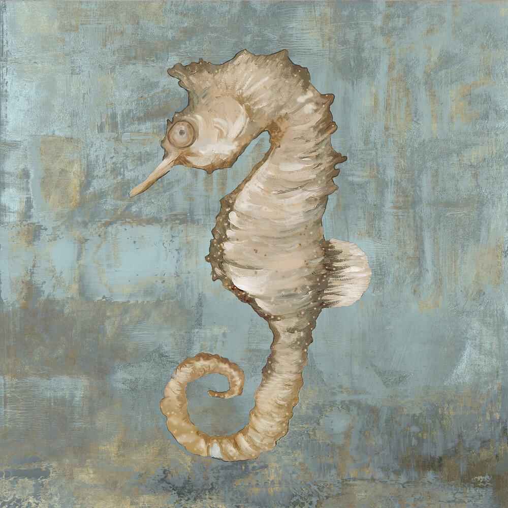 Octopus Dance & Seahorse Dance, Set Of 2-by-Jacob Q-wall-art-print-canvas-poster-framed-Gioia