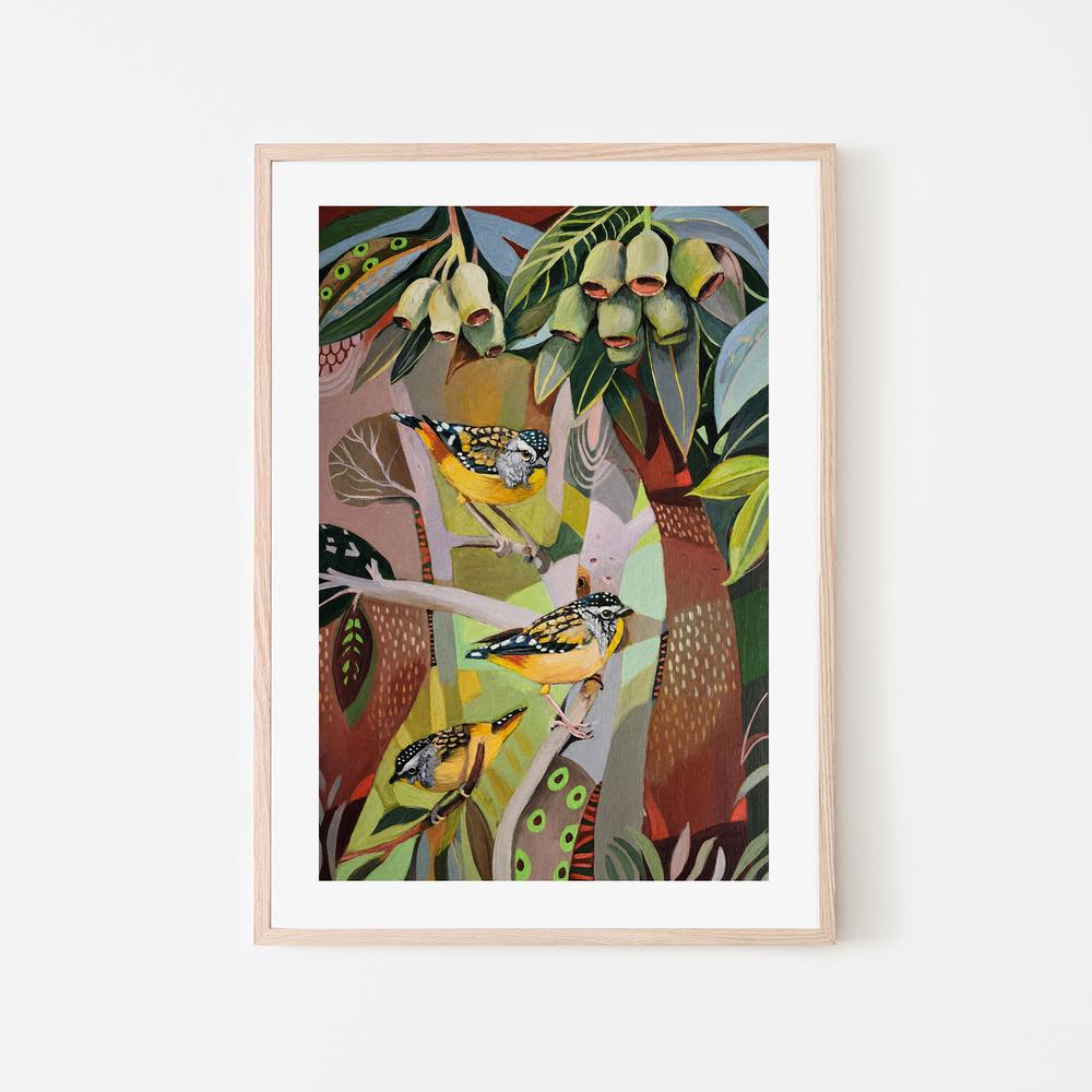 Pardalote with Gumnuts-by-Susan Trudinger-wall-art-print-canvas-poster-framed-Gioia
