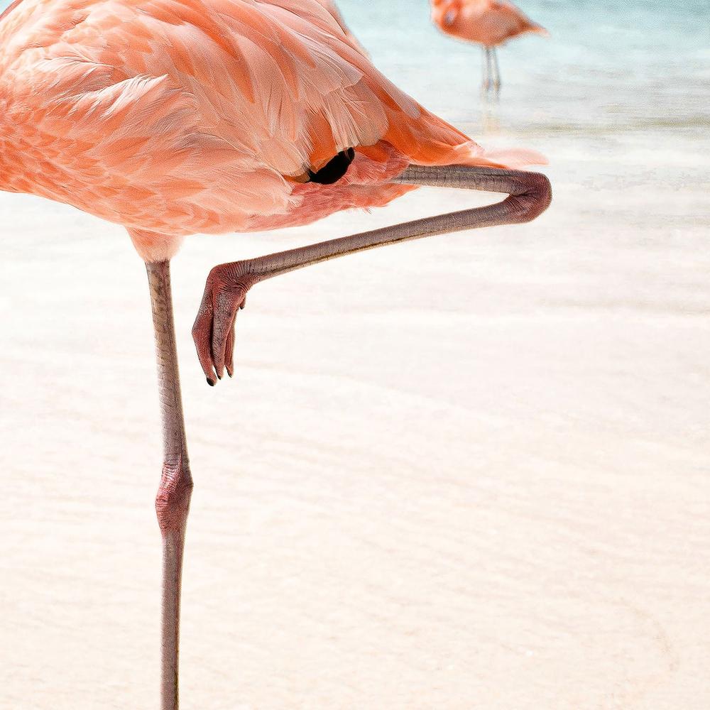 Pink Flamingo Beach-by-Henrike Schenk-wall-art-print-canvas-poster-framed-Gioia
