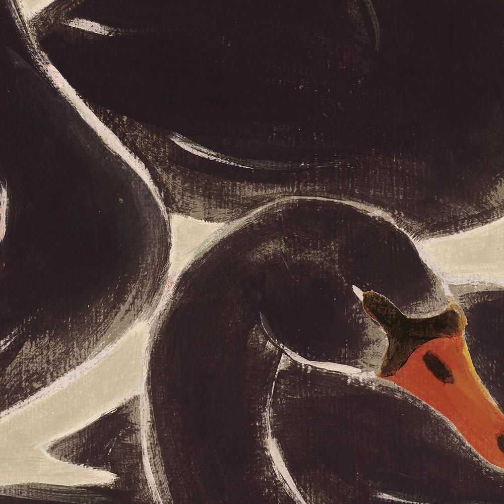 Reprieve Black Swan-by-Haley Knighten-wall-art-print-canvas-poster-framed-Gioia