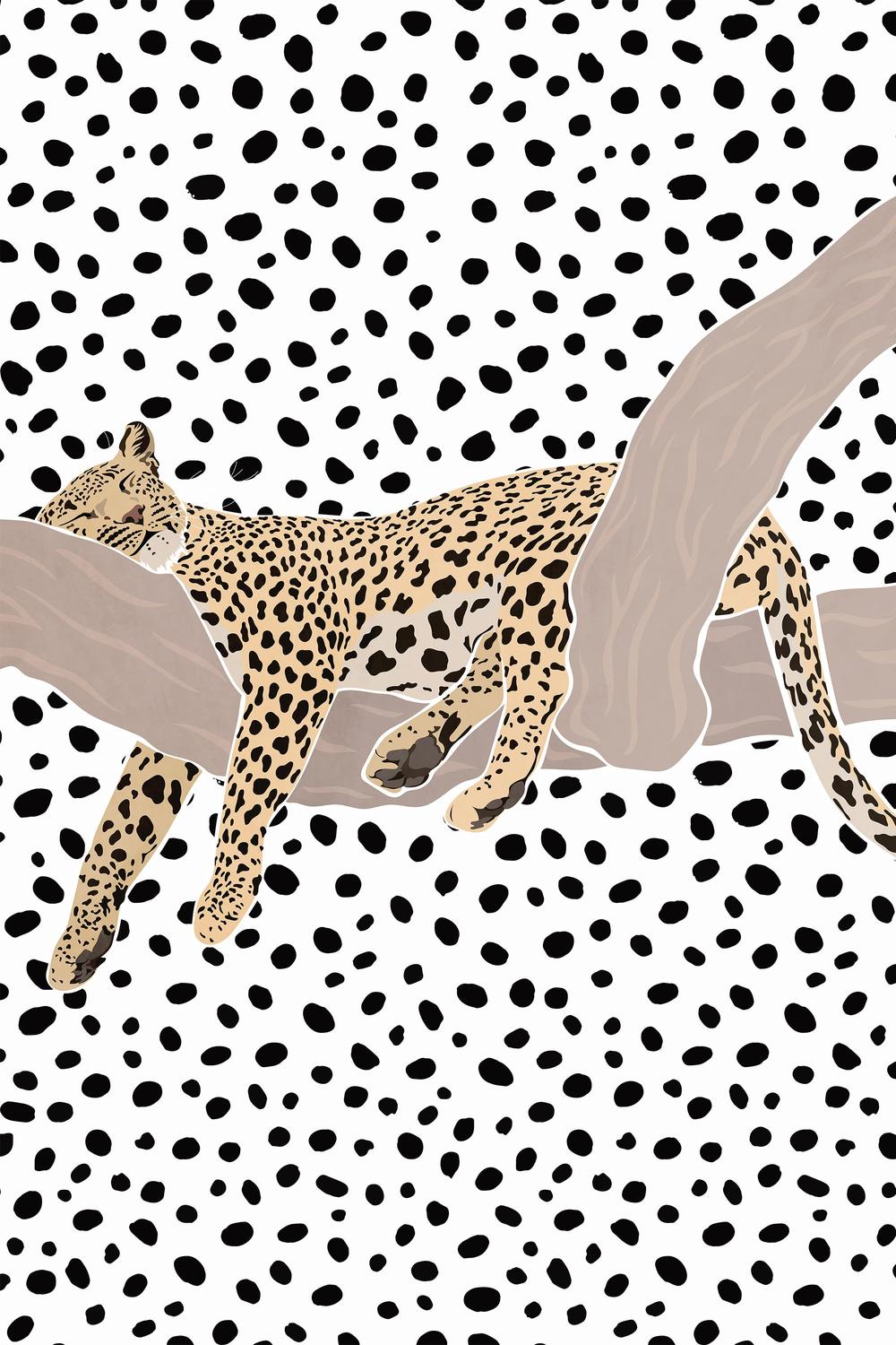 Resting Leopard Spots-by-Sarah Manovski-wall-art-print-canvas-poster-framed-Gioia