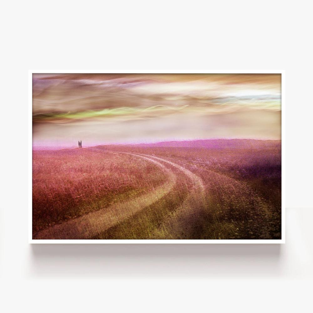 Romantic Field Path-by-Christina Sillen-wall-art-print-canvas-poster-framed-Gioia