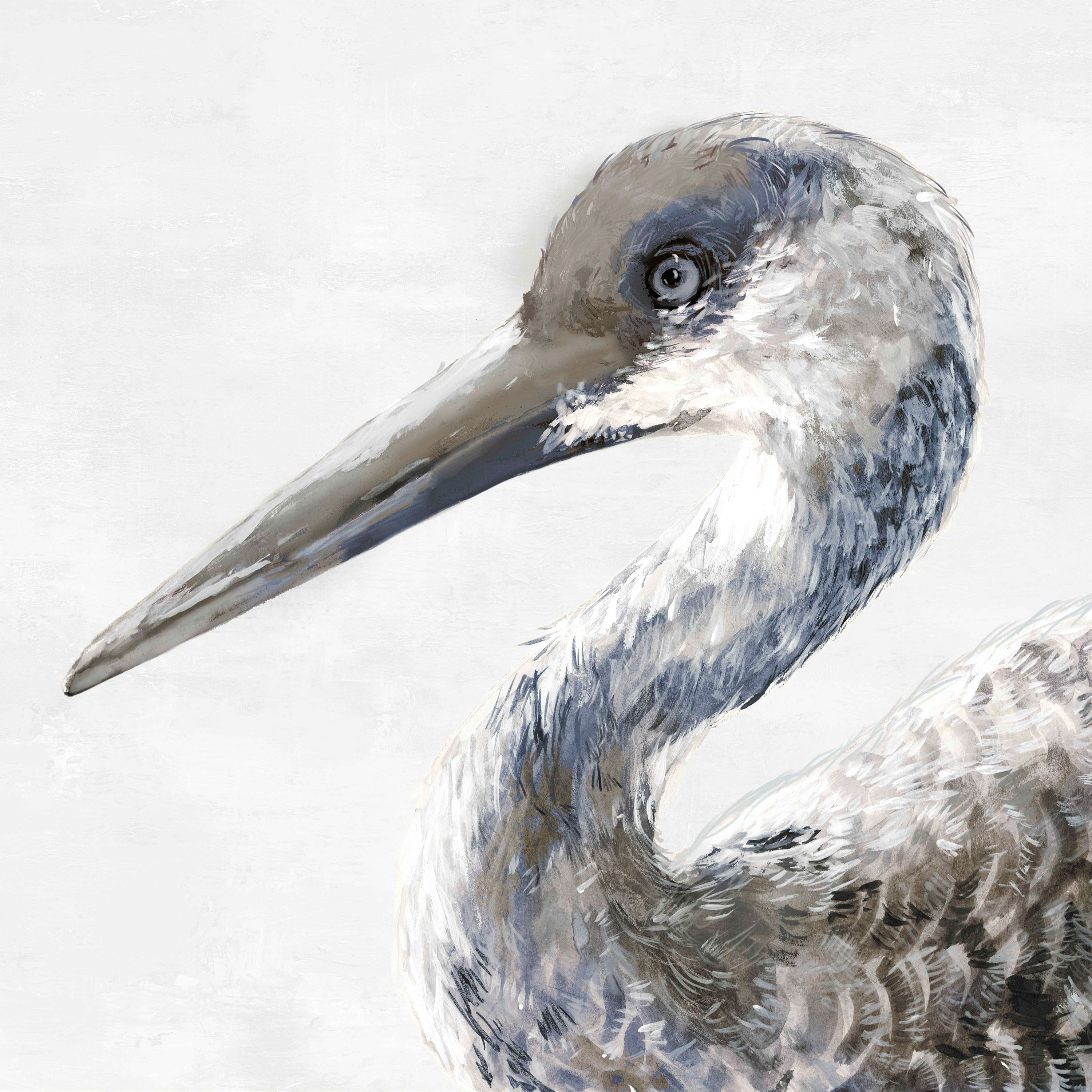 Sand Crane-by-Jacob Q-wall-art-print-canvas-poster-framed-Gioia