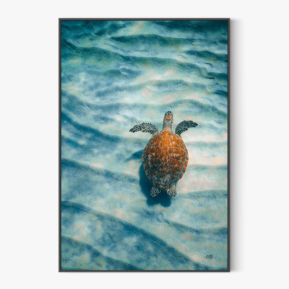 Sandbar Sea Turtle, Style A-by-Max Blakesberg Studios-wall-art-print-canvas-poster-framed-Gioia