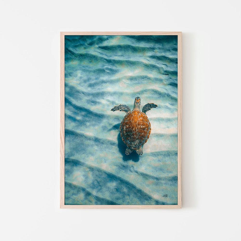 Sandbar Sea Turtle, Style A-by-Max Blakesberg Studios-wall-art-print-canvas-poster-framed-Gioia