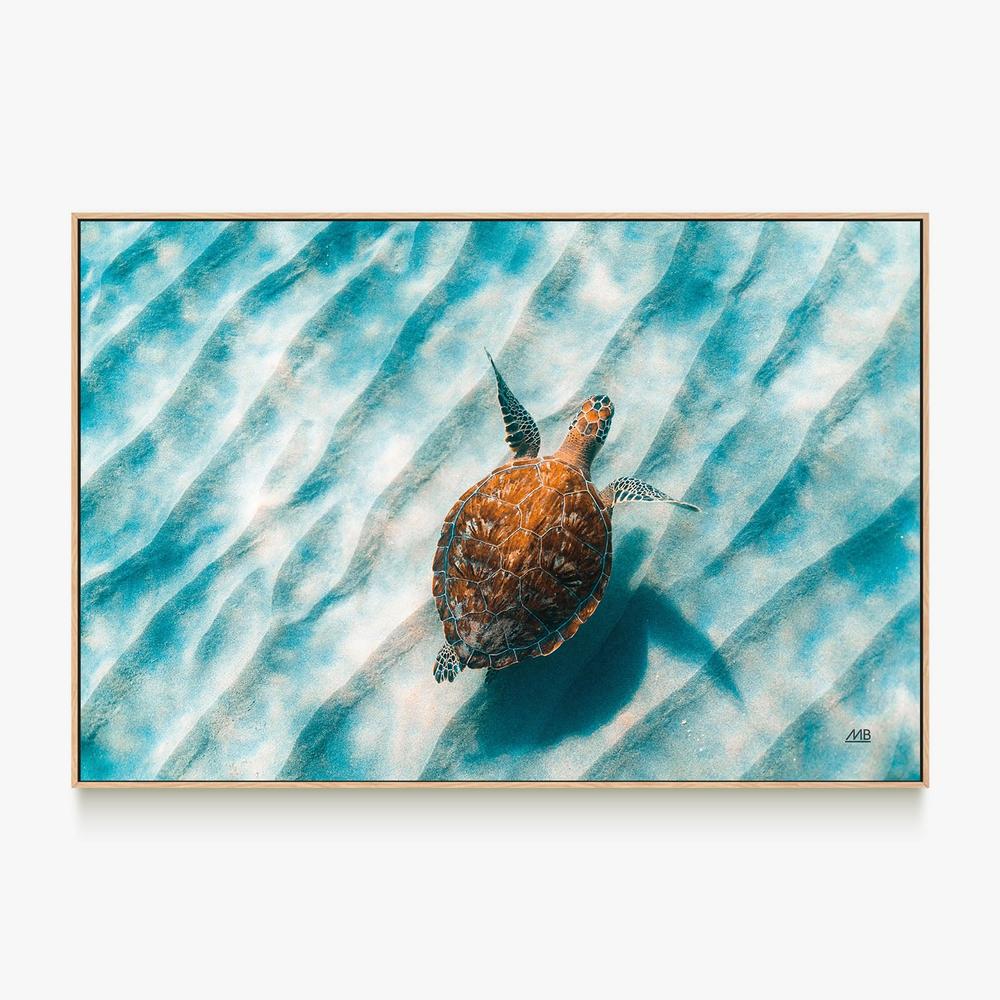 Sandbar Sea Turtle, Style B-by-Max Blakesberg Studios-wall-art-print-canvas-poster-framed-Gioia