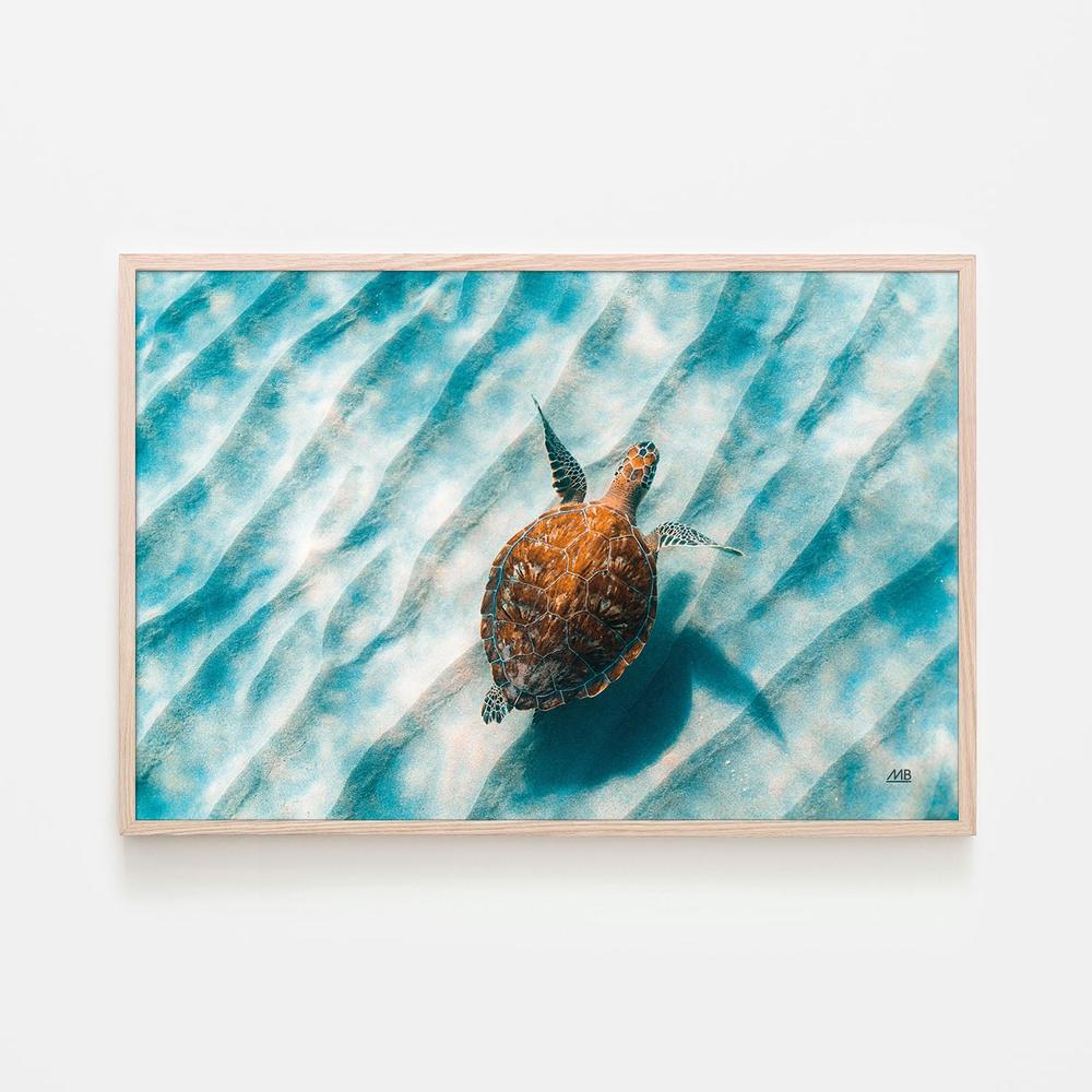 Sandbar Sea Turtle, Style B-by-Max Blakesberg Studios-wall-art-print-canvas-poster-framed-Gioia