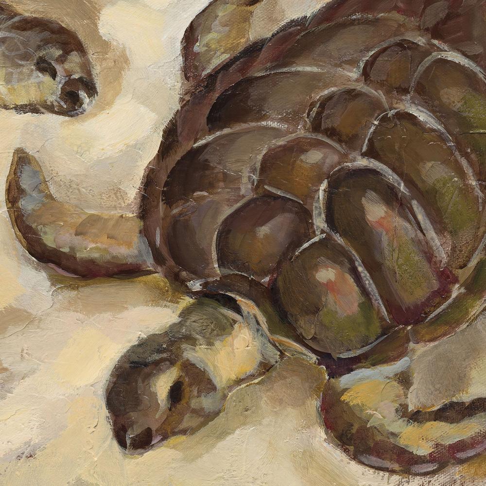 Sea Turtles on the Sand-by-Silvia Vassileva-wall-art-print-canvas-poster-framed-Gioia