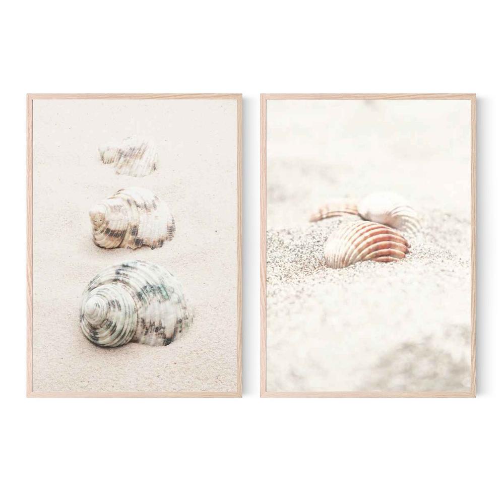 Shells & Shells By The Beach, Set Of 2-by-Plus X Studio-wall-art-print-canvas-poster-framed-Gioia
