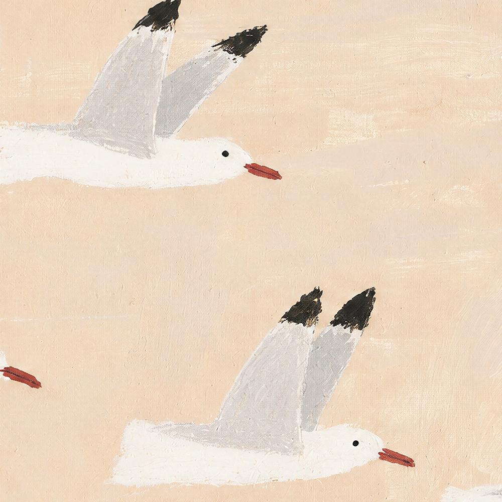 silver gulls-by-Lady Hana-wall-art-print-canvas-poster-framed-Gioia