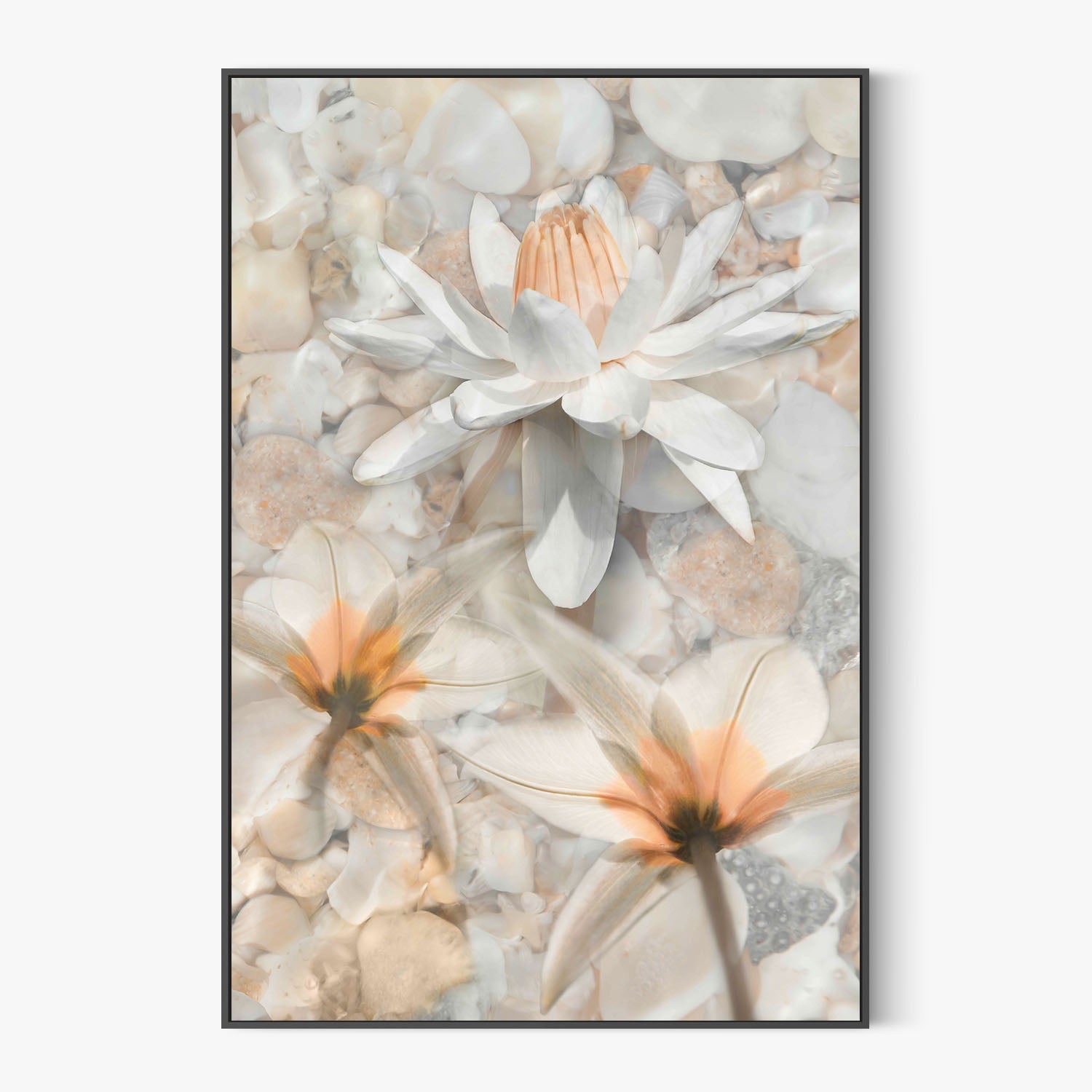 Softly Calling in White-by-Leda Robertson-wall-art-print-canvas-poster-framed-Gioia