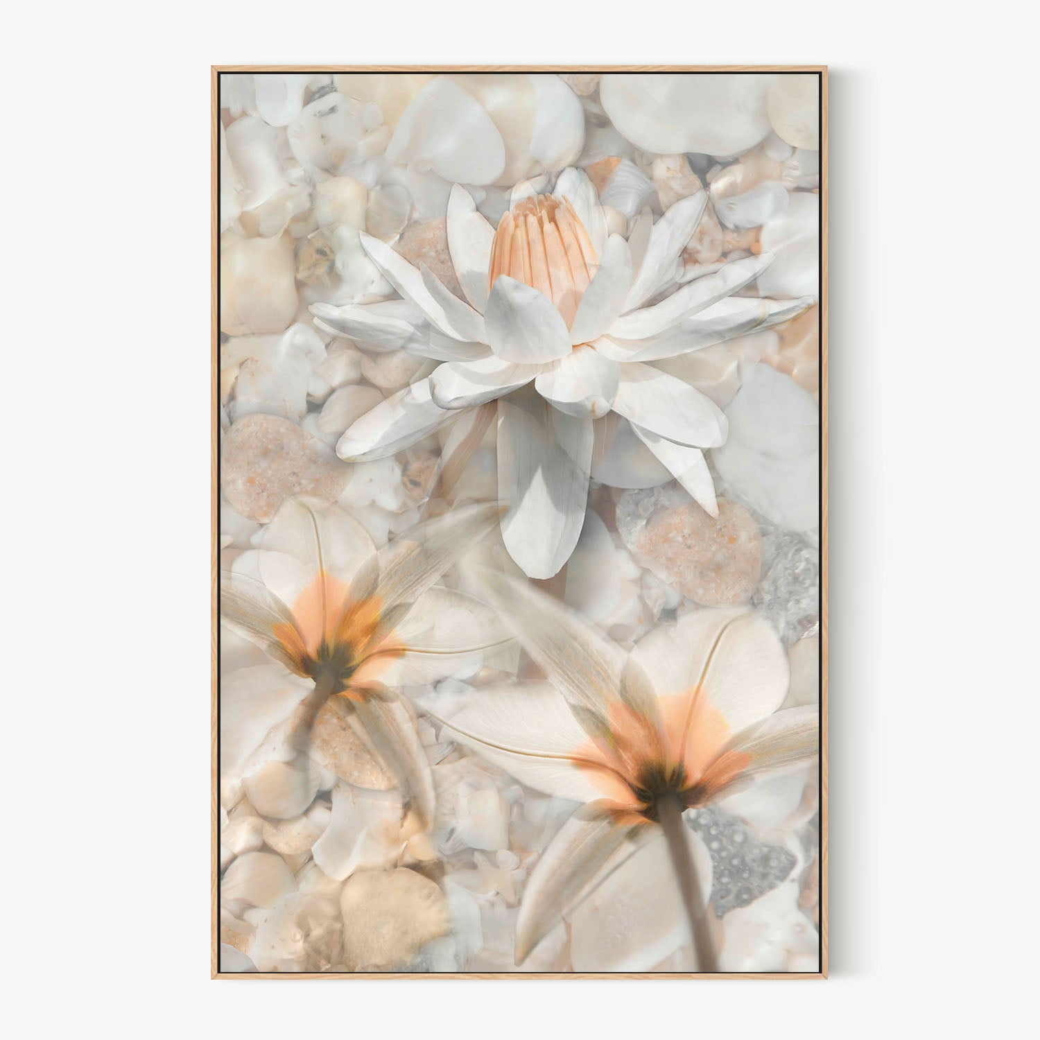 Softly Calling in White-by-Leda Robertson-wall-art-print-canvas-poster-framed-Gioia