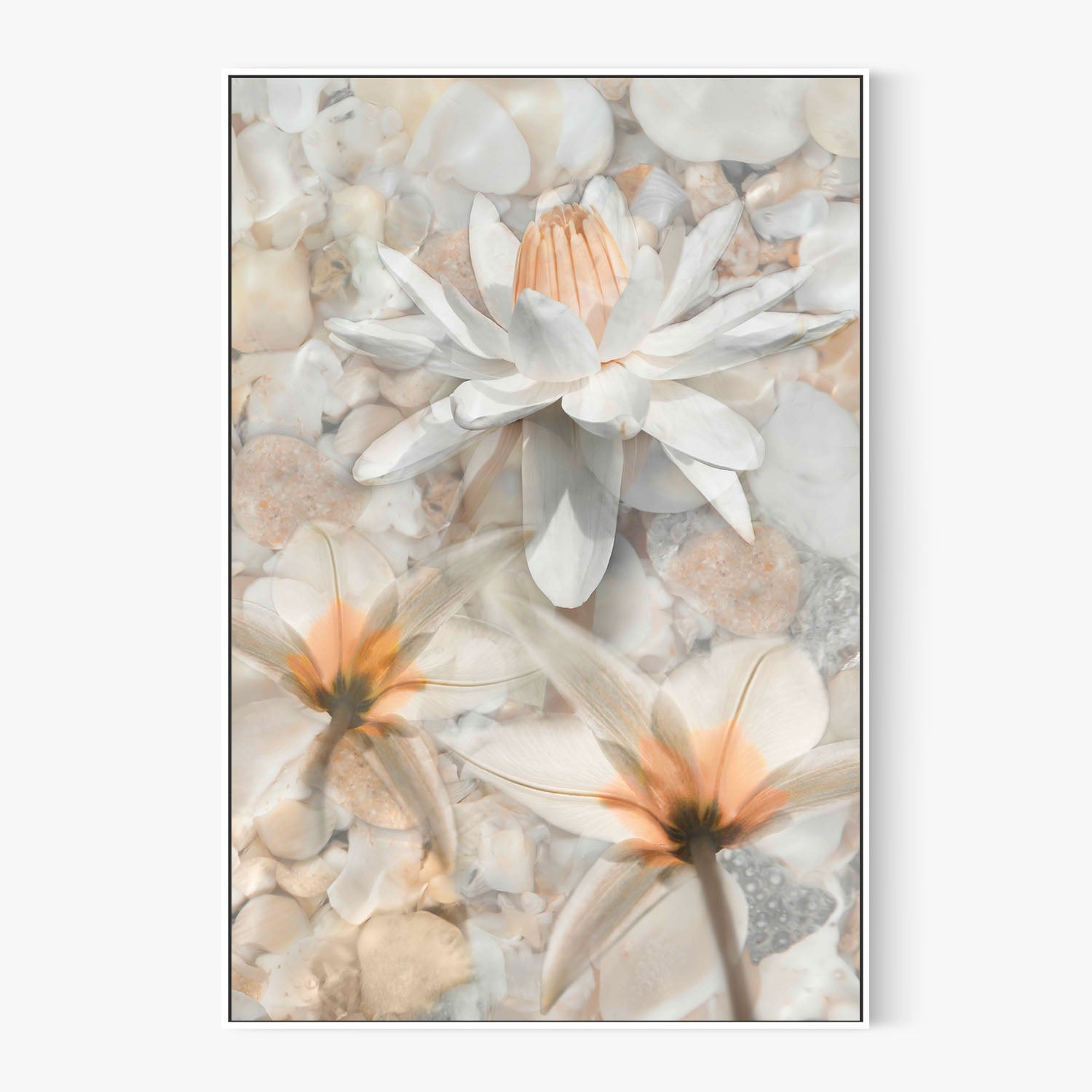Softly Calling in White-by-Leda Robertson-wall-art-print-canvas-poster-framed-Gioia