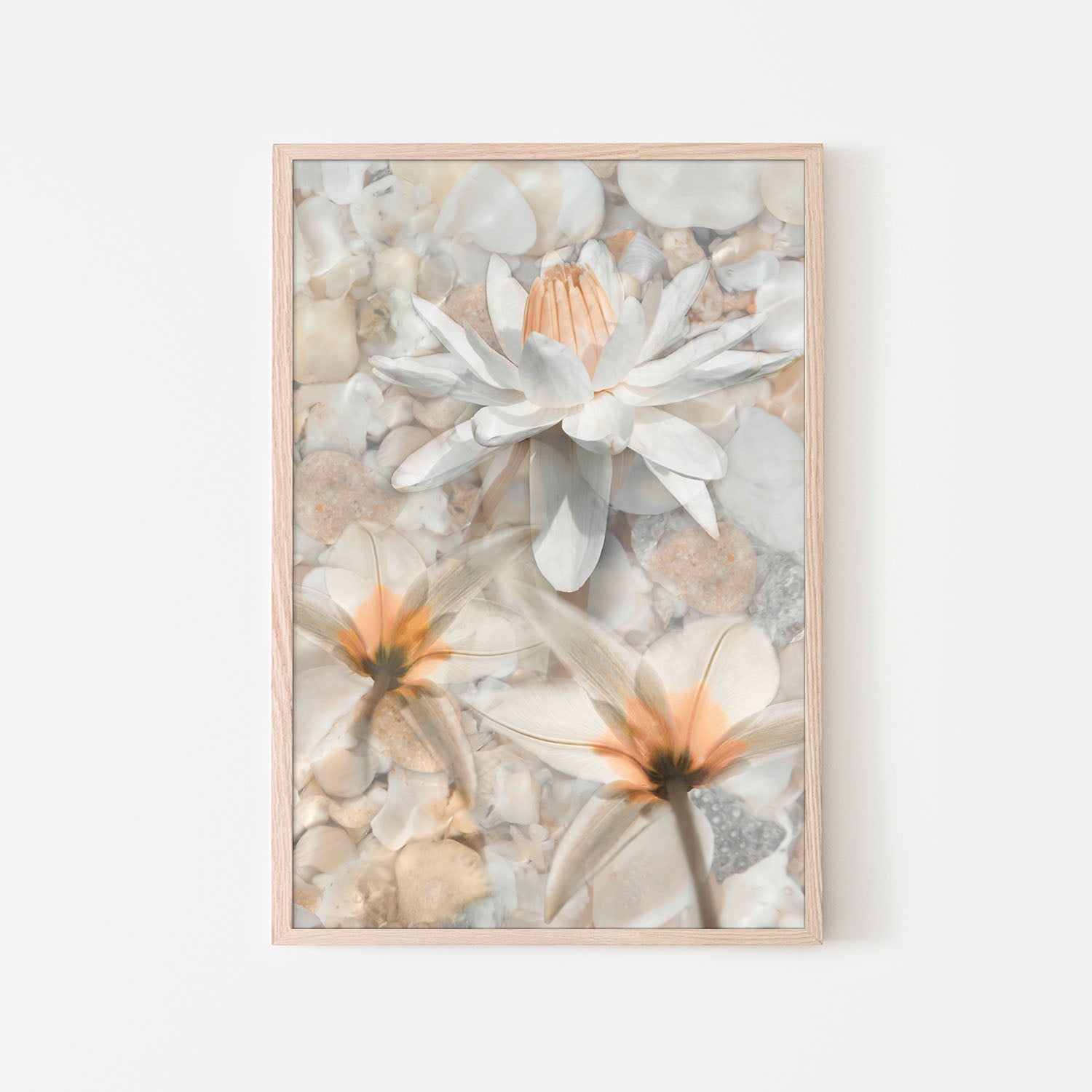 Softly Calling in White-by-Leda Robertson-wall-art-print-canvas-poster-framed-Gioia