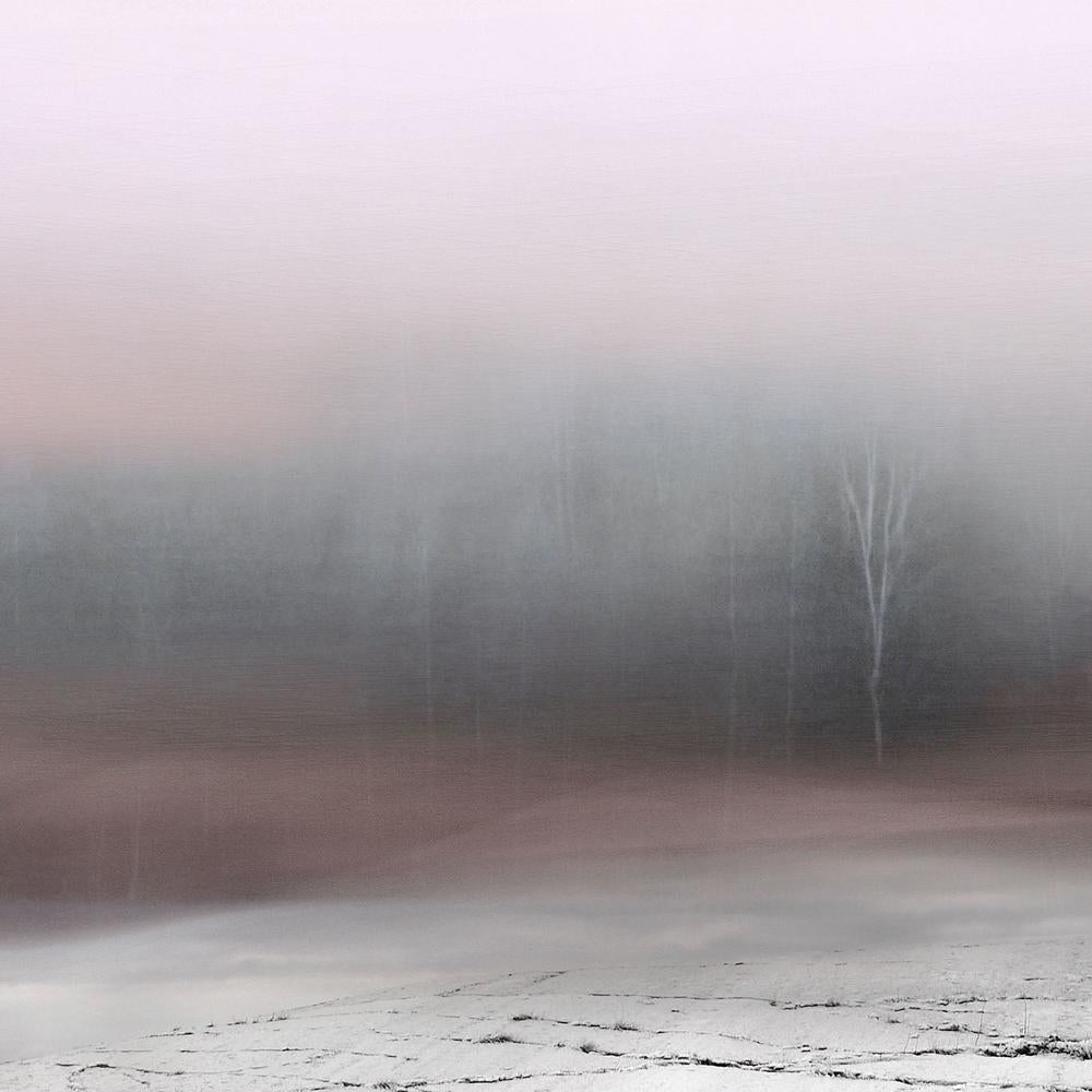 Solitary Winter Tree-by-Christina Sillen-wall-art-print-canvas-poster-framed-Gioia