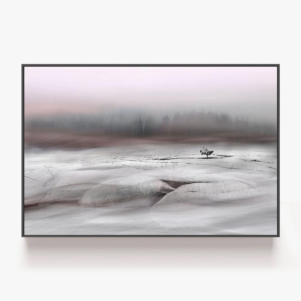 Solitary Winter Tree-by-Christina Sillen-wall-art-print-canvas-poster-framed-Gioia