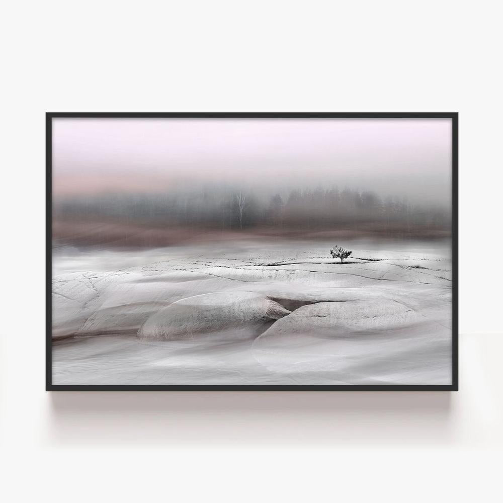 Solitary Winter Tree-by-Christina Sillen-wall-art-print-canvas-poster-framed-Gioia