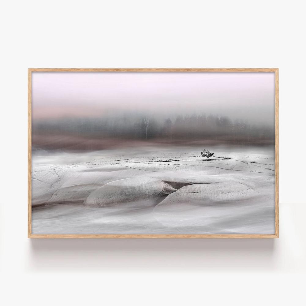 Solitary Winter Tree-by-Christina Sillen-wall-art-print-canvas-poster-framed-Gioia
