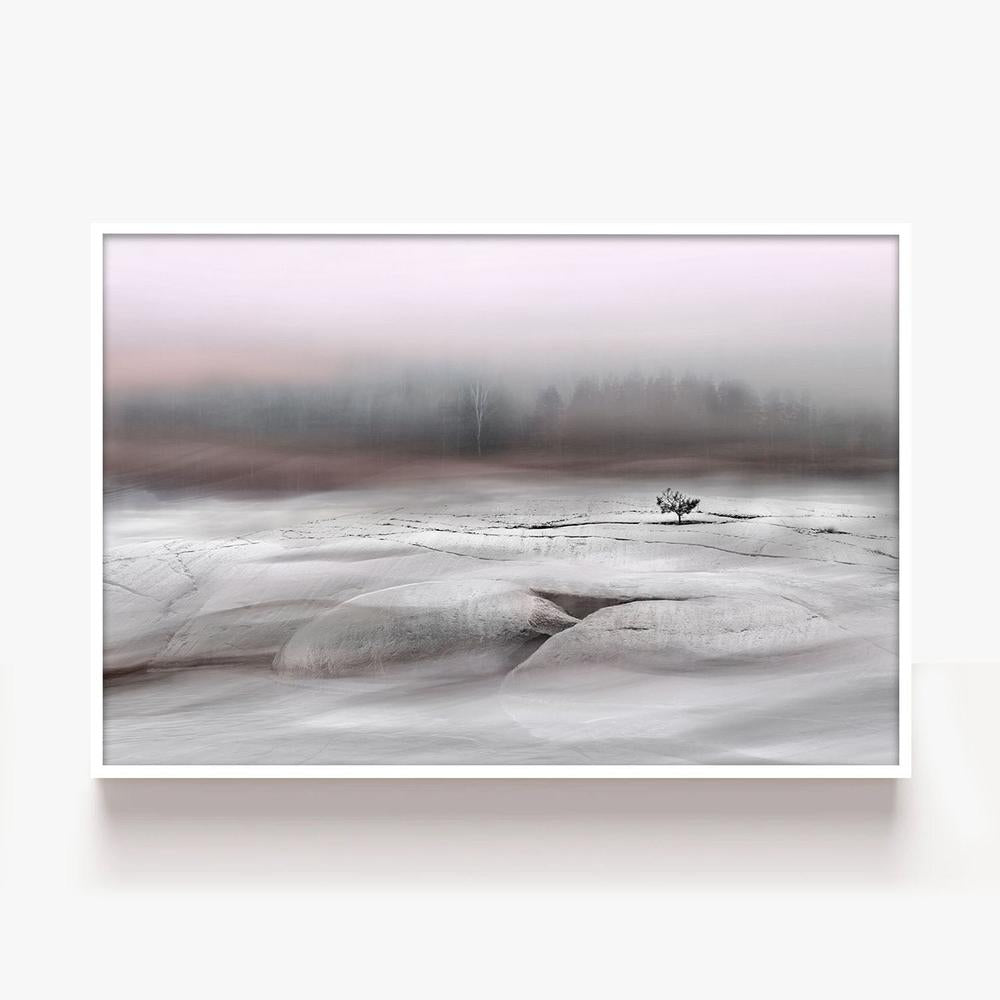 Solitary Winter Tree-by-Christina Sillen-wall-art-print-canvas-poster-framed-Gioia