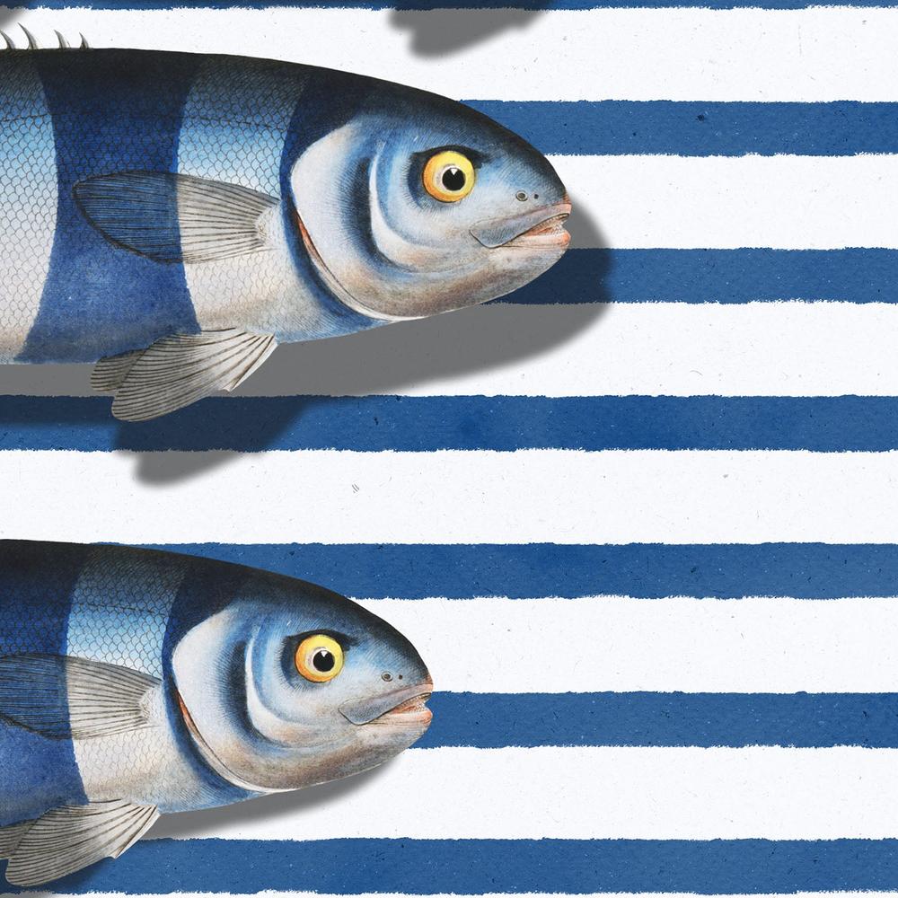 Striped Ocean Fish-by-Marja van den-wall-art-print-canvas-poster-framed-Gioia
