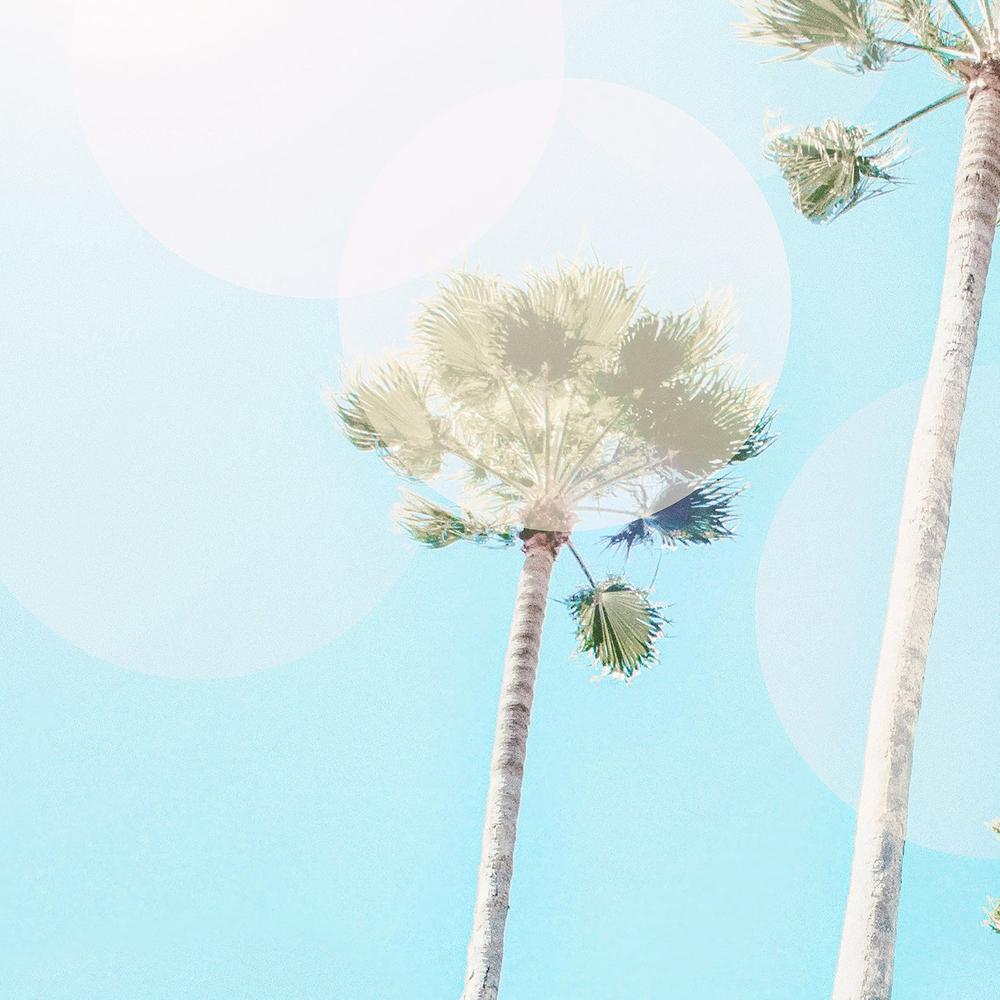 Summer Palms-by-Gal Pittel-wall-art-print-canvas-poster-framed-Gioia